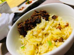 -诺莱仕游艇会