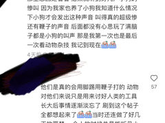 -光明农场大观园