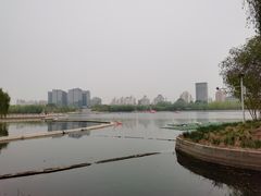 -莲花池公园