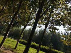 -蒲河岛湿地公园