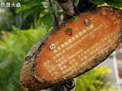 -三亚亚龙湾人间天堂鸟巢度假村
