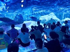 -汕头蓝水星欢乐世界