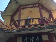-白云山风景名胜区