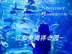 -江和美海洋公园