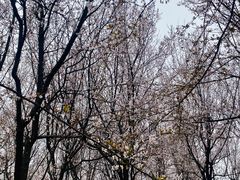 -同济大学(嘉定校区)