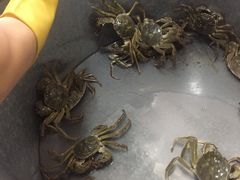 -高淳老街