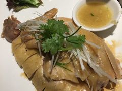 -雨林餐厅(长隆海洋王国店)