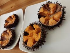 -海胆小馆(东北水饺·春柳店)