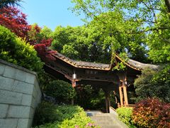 -杭州半山国家森林公园