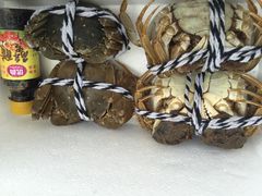 -喜洋洋蟹庄(阳澄湖店)