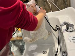 -PETKIT 小佩宠物·低压洗护·美容·寄养(安远店)