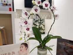 点击看大图 -BiuBiu Beauty·肌肤管理