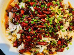 黑鱼花-三猫黑鱼花(南大店)