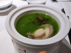 野生清汁煮活鲍-二十四单 淮扬新味
