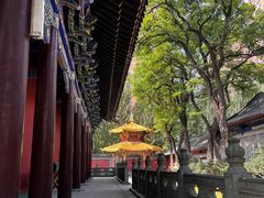 -护国法轮寺