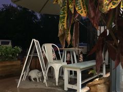 -隹木咖啡馆(宝龙广场店)