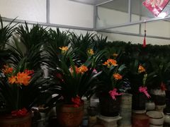 -无锡文化工艺品市场(槐古路店)