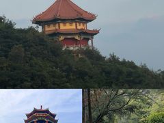 -广州长隆国际大马戏