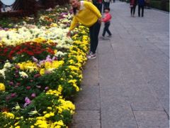 iphone_upload_pic-迎泽公园