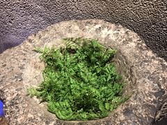 -呷哺呷哺 黄金牧场 (欢乐谷店)