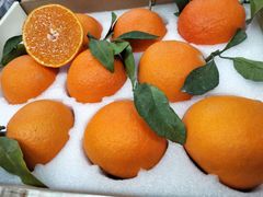 -上海龙吴水胜海发市场