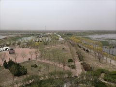 -南大港湿地风景区