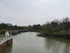 -八大山人梅湖景区