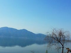 android_upload_pic-西昌邛海湿地