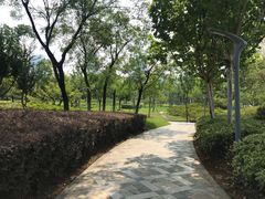 -天鹅湖体育公园