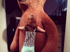 -济州岛泰迪熊博物馆