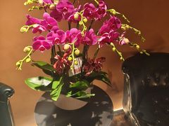 -霖公馆SPA·足道(普善路店)