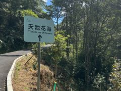 -广州市石门国家森林公园