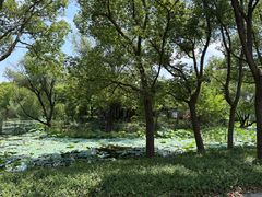 -同里国家湿地公园