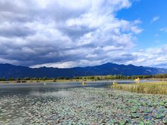 -野鸭湖国家湿地公园