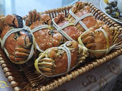 -巴城阳澄湖小芳农家乐