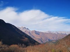 -黄龙山原始森林景区
