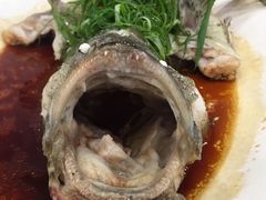 豉汁蒸多宝鱼-东江海鲜酒家(客村店)