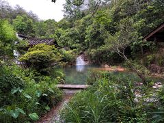 -仙店农庄(湖景农庄餐厅)