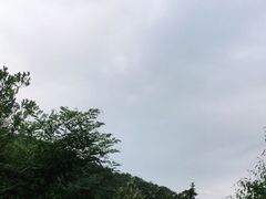 -楠柏弯休闲山庄(梨花溪店)