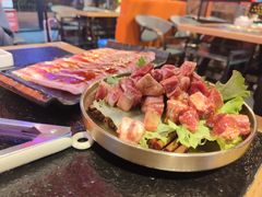 -杨记齐齐哈尔烤肉(逸仙路店)