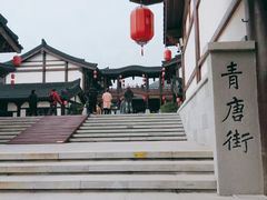 -大唐贡茶院