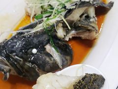 清蒸石斑鱼-鑫悦楼煎蟹·16年海鲜大排档