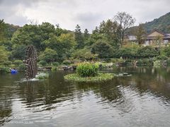 -杭州雅谷泉山庄酒店-餐厅
