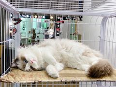 -iF摄影•全家福•证件照•形象照(南山店)