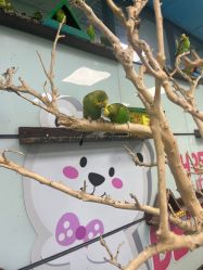 -未来动物城动物主题公园(大悦城店)