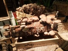 -大头椰·椰子鸡火锅(南宁万象城店)