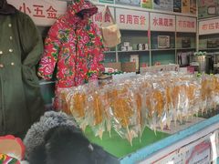 -长春市南湖公园