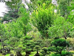 -申粤轩酒楼·三十年粤菜经典(丁香花园店)