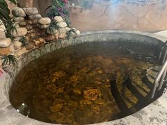 -泉城欧乐堡戏水湾艺术养生温泉