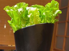 -九田家黑牛烤肉料理(太阳宫广场店)